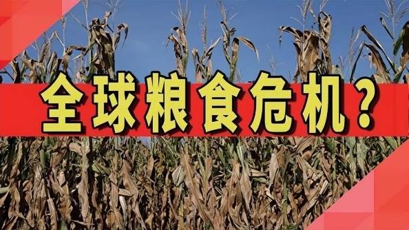 k8凯发专家建言：发展中国白兰地产业不仅有助于缓解粮食危机也有利于传播中华文化！